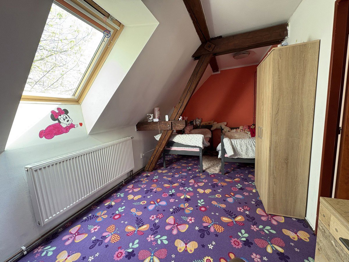 Fotografie 12/20