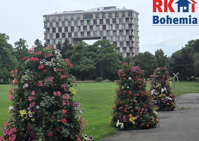 Apartment for rent · 2+kk · 36 m²