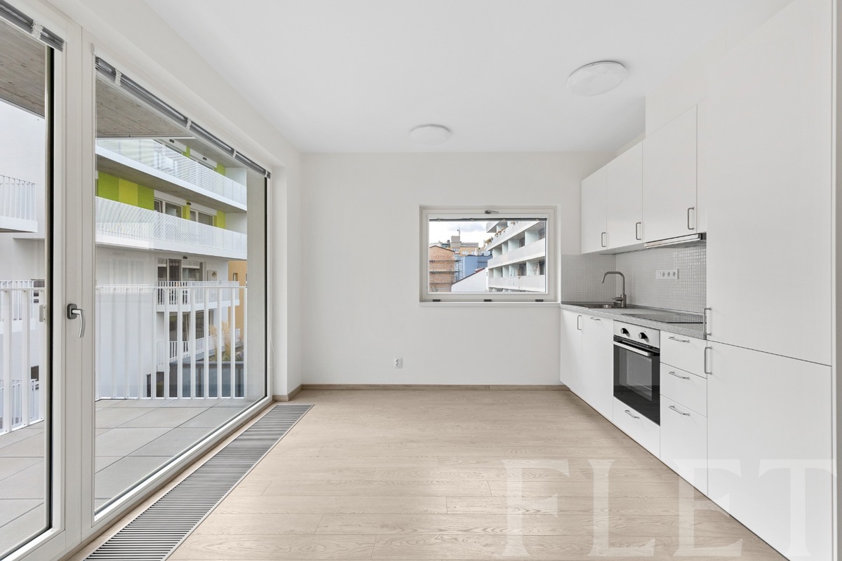 Fotografie 3 - Pronájem bytu · 1+kk · 31 m²