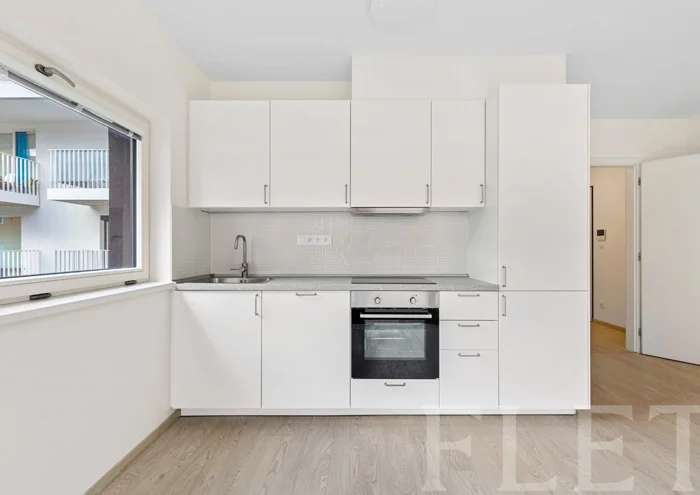 Apartment for rent · 1+kk · 31 m²
