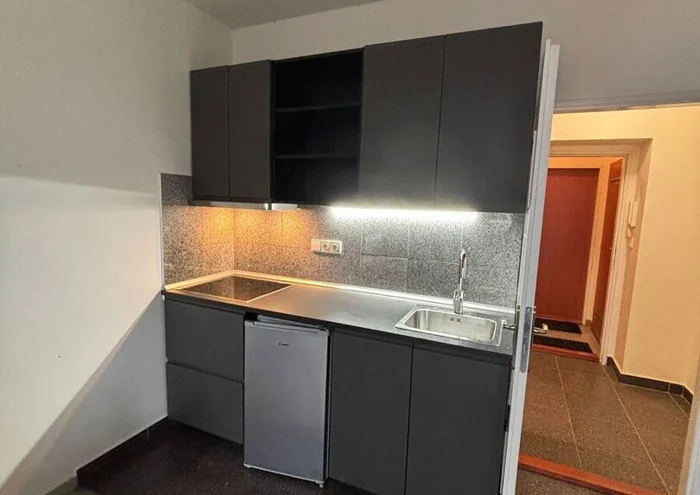 Apartment for rent · 1+kk · 22 m²