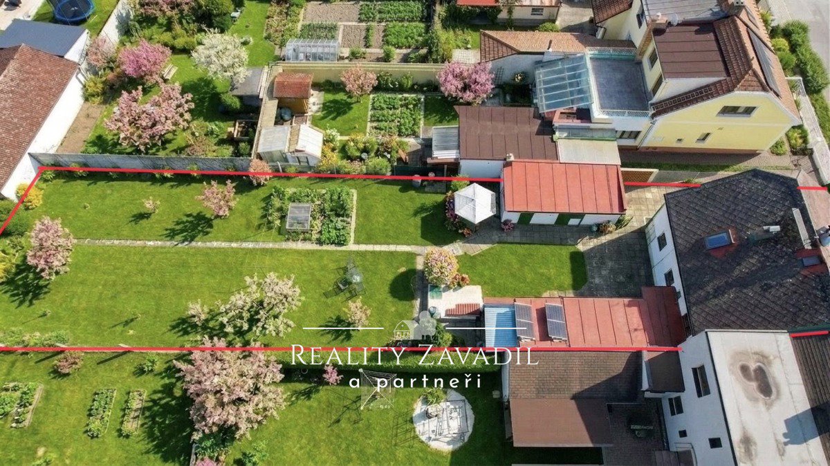 Fotografie 2/30