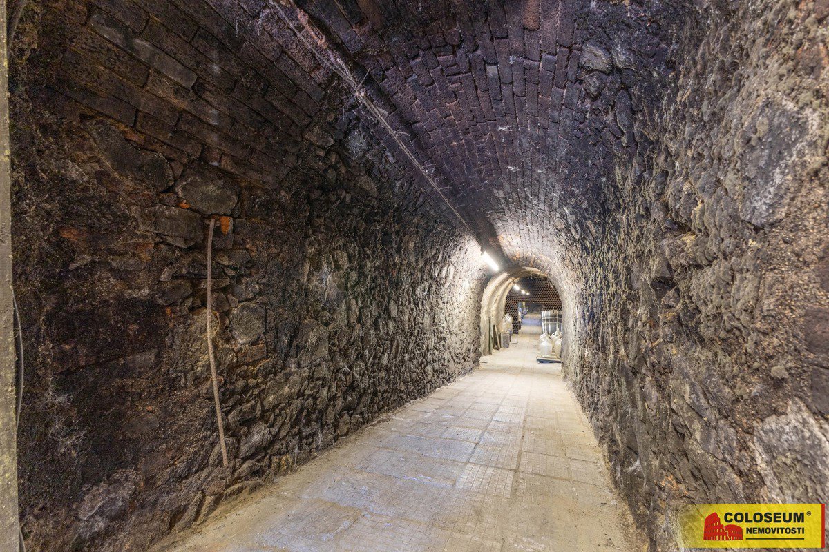 Fotografie 6/15