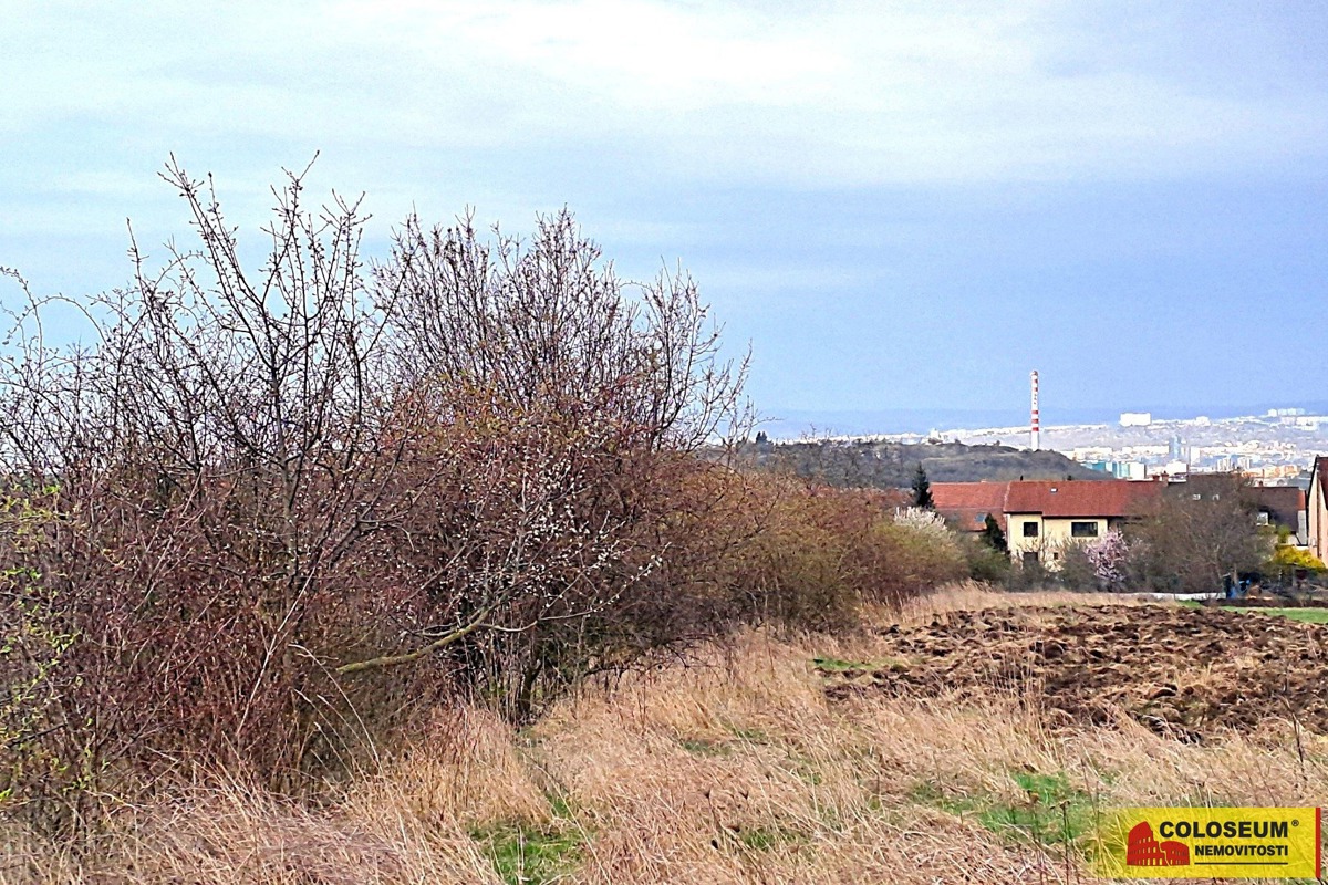 Fotografie 3 - Prodej pozemku · Zahrada