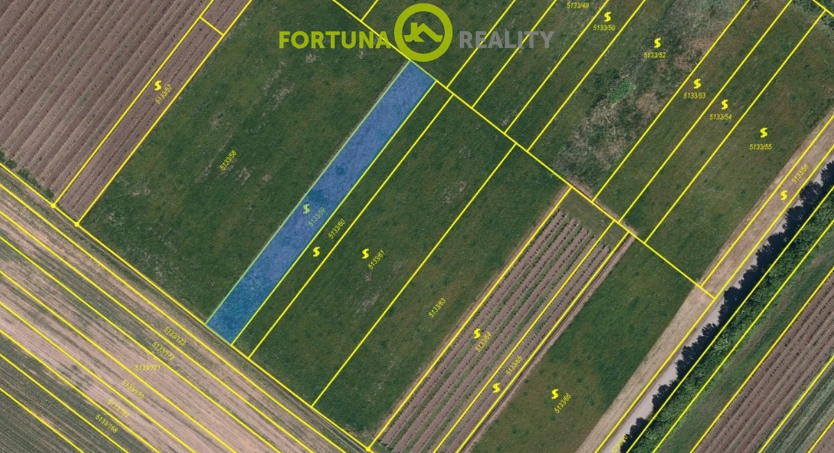 Fotografie 1 - Prodej pozemku · Vinice · 1 039 m²