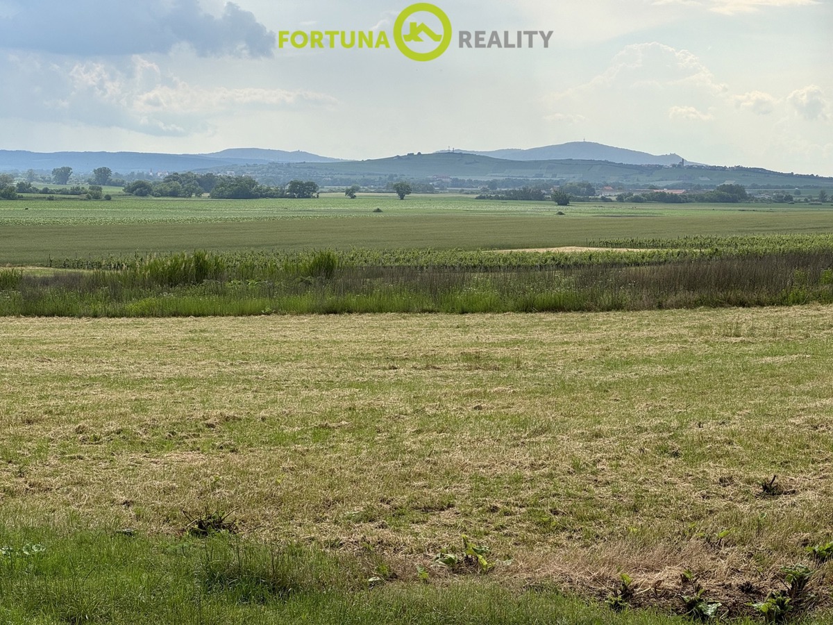 Fotografie 2 - Prodej pozemku · Vinice · 1 039 m²