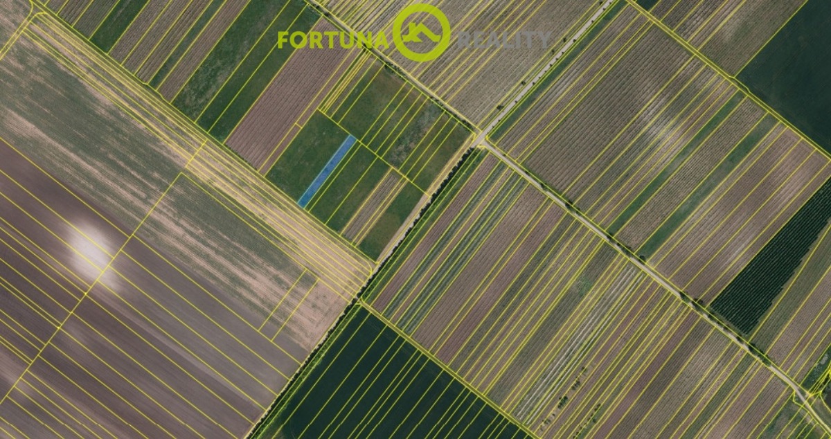 Fotografie 3 - Prodej pozemku · Vinice · 1 039 m²
