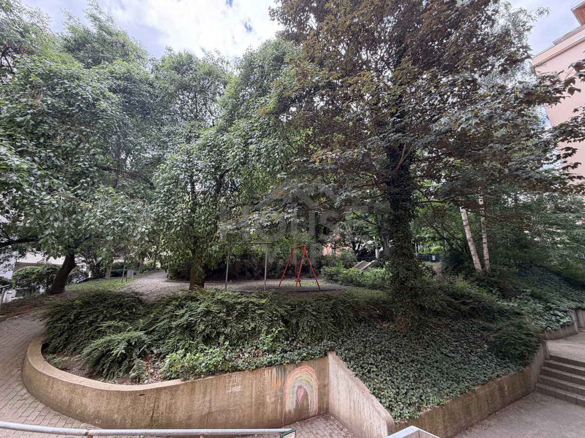 Hình ảnh 8/12