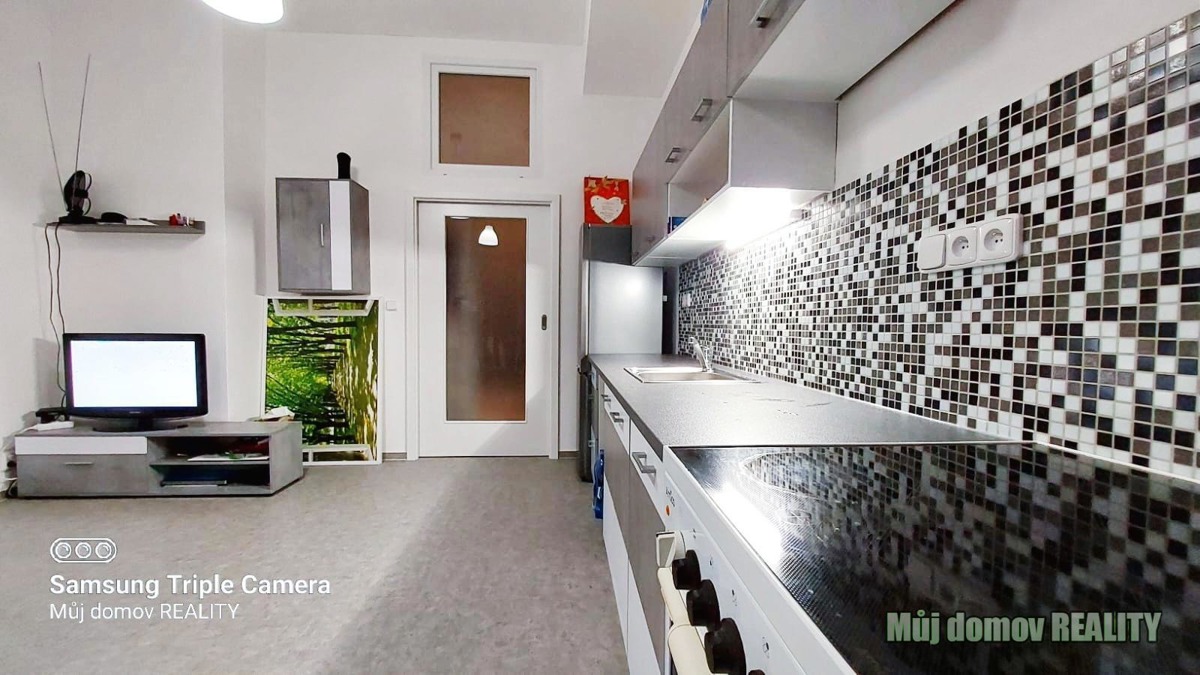 Căn hộ cho thuê · 2+kk · 48 m²