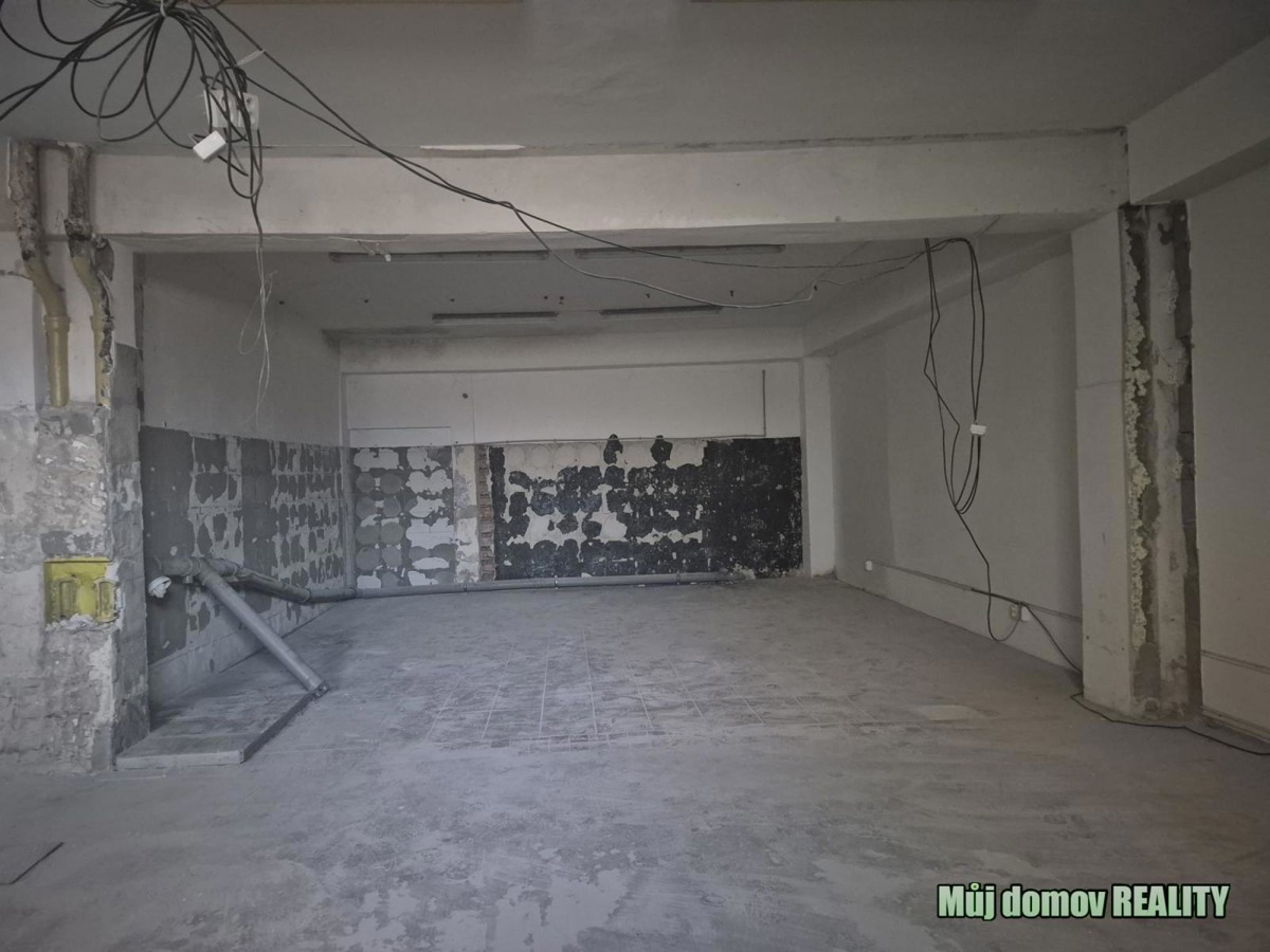 Fotografie 3 - Pronájem komerční nemovitosti · 595 m²