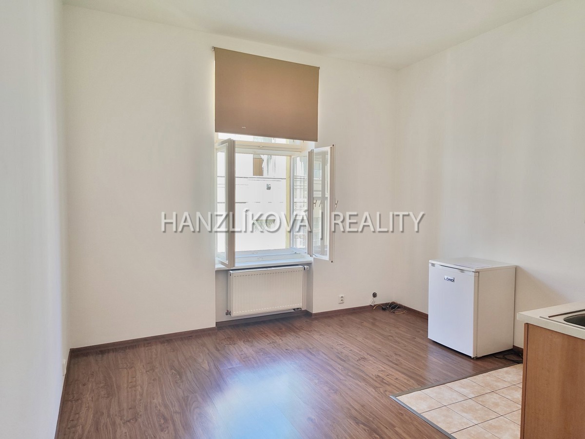 Fotografie 3 - Pronájem bytu · 1+kk · 30 m²