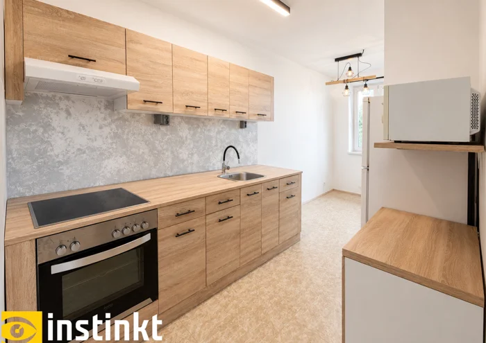 Căn hộ cho thuê · 1+1 · 46 m²
