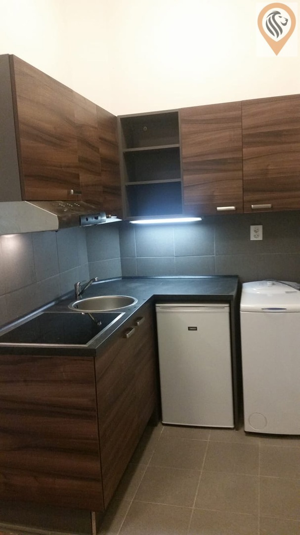Căn hộ cho thuê · 1+kk · 28 m²