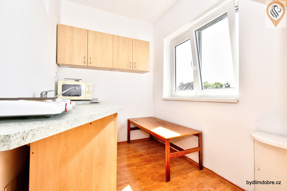 Fotografie 4 - Pronájem bytu · 2+kk · 46 m²
