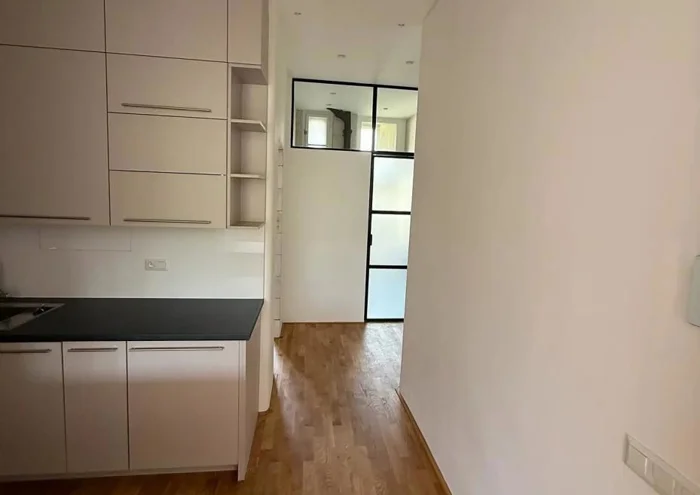 Pronájem bytu · 2+kk · 55 m²