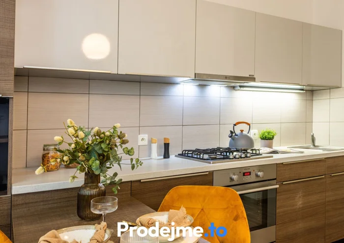 Căn hộ cho thuê · 1+1 · 42 m²