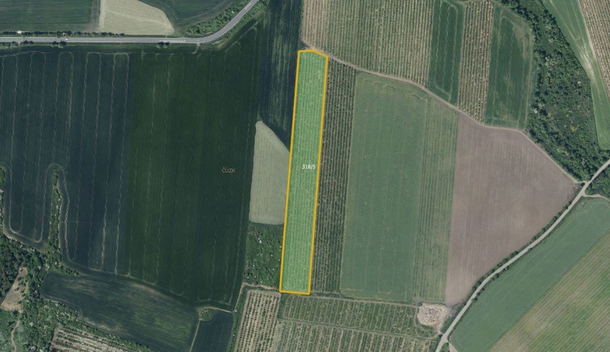 Prodej pozemku · Pole · 28 919 m²