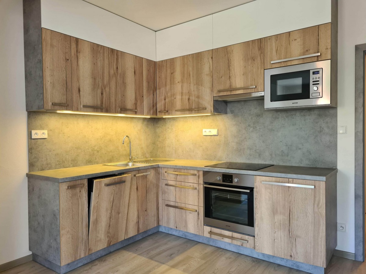 Căn hộ cho thuê · 1+kk · 45 m²