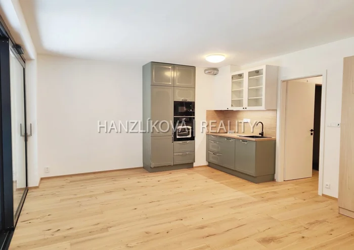 Căn hộ cho thuê · 1+kk · 41 m²