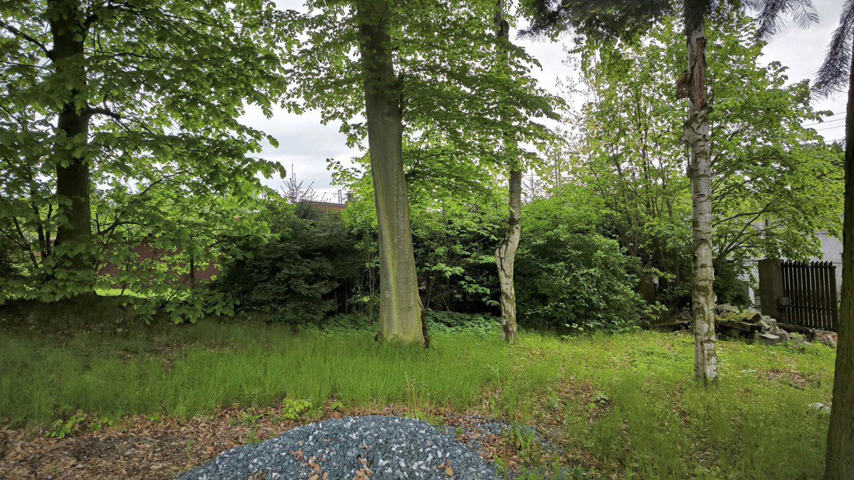 Fotografie 6/14