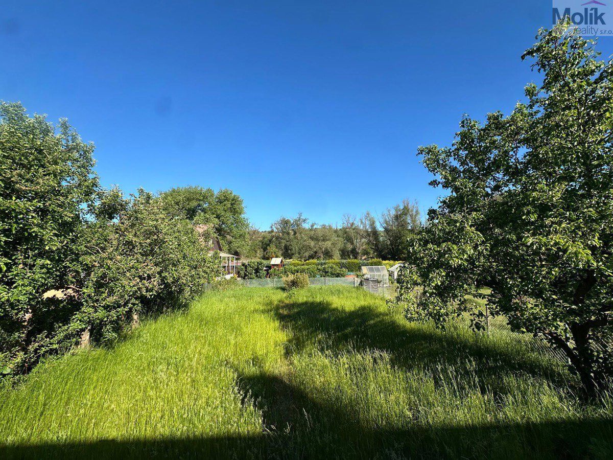 Photo 8/19
