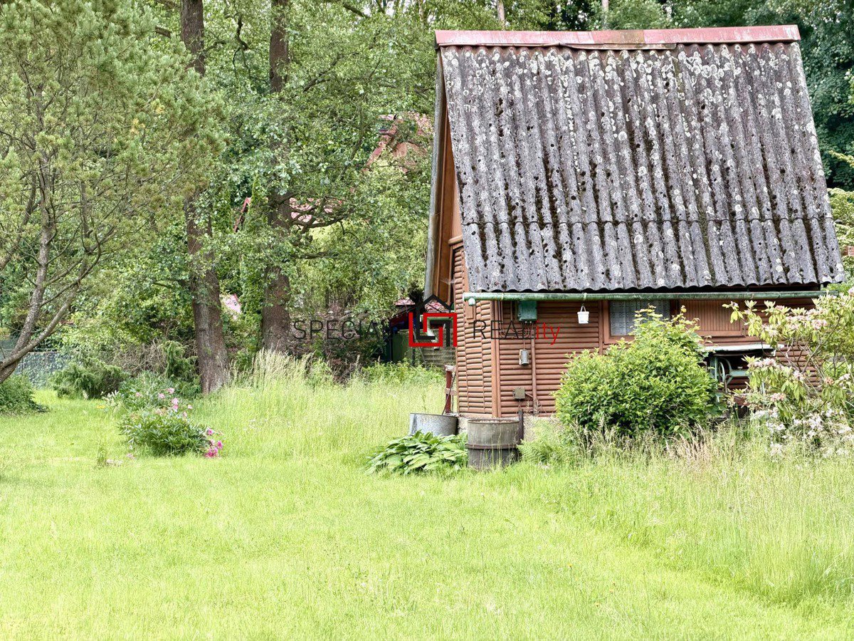 Fotografie 6/12