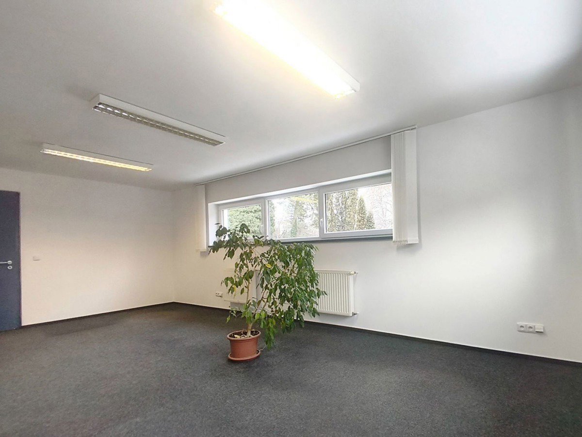 Fotografie 6/21
