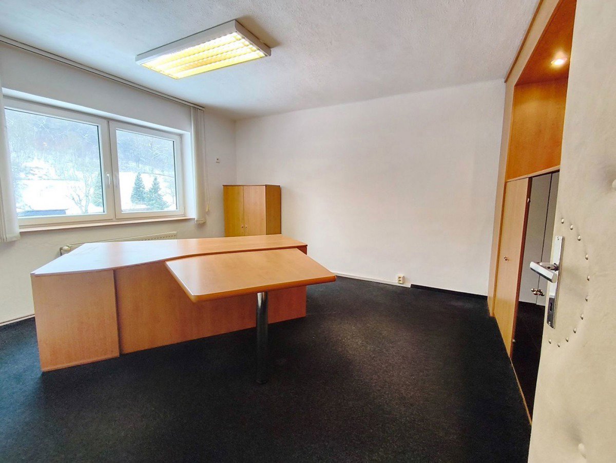 Fotografie 11/21