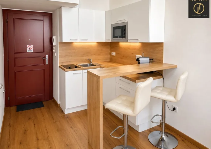 Apartment for rent · 1+kk · 25 m²
