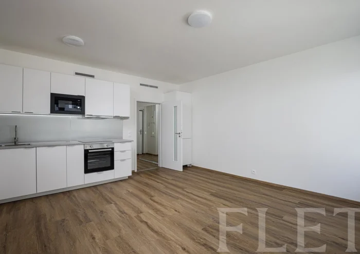 Apartment for rent · 1+kk · 34 m²