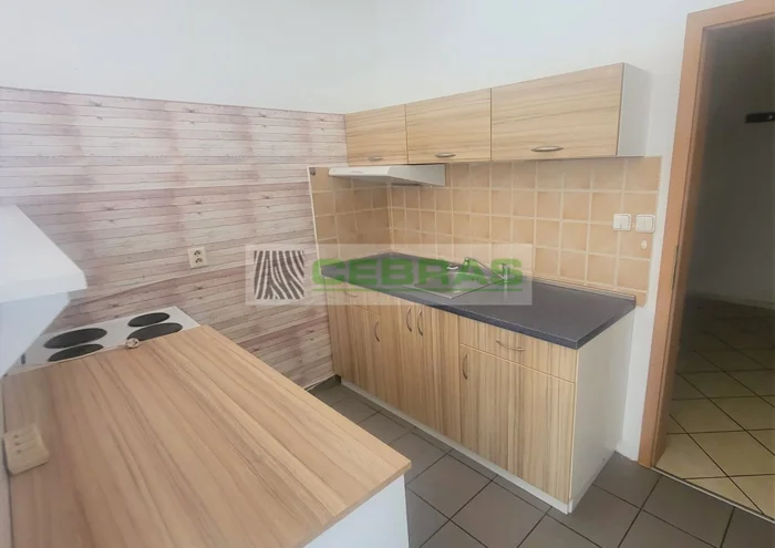 Pronájem bytu · 1+kk · 50 m²