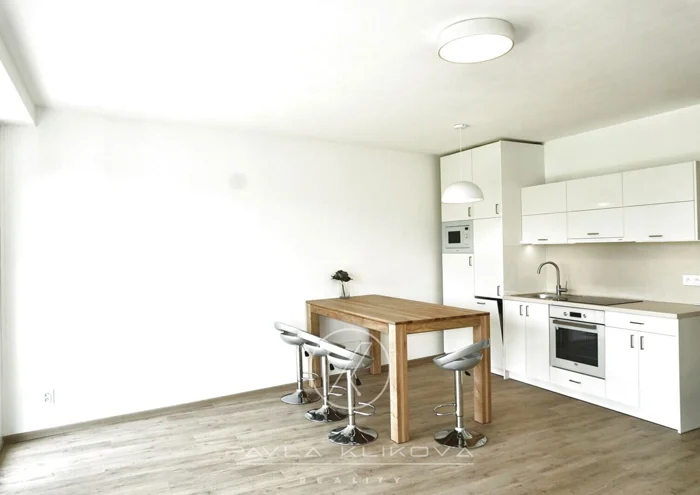 Căn hộ cho thuê · 1+kk · 48 m²