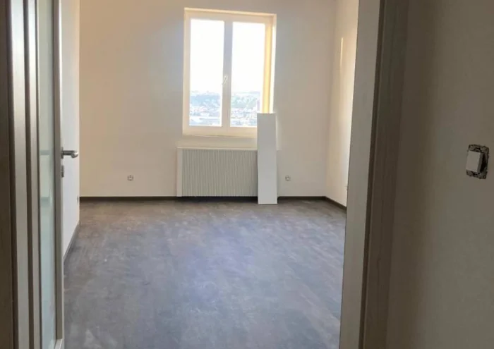Pronájem bytu · 2+kk
