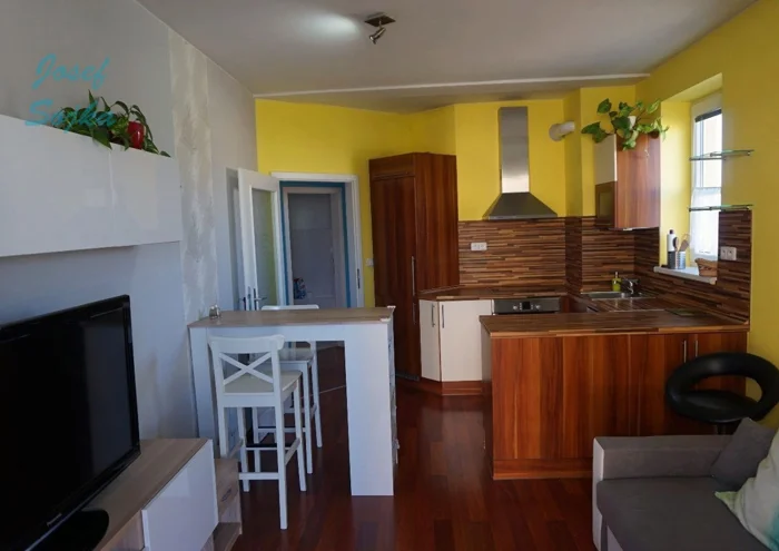 Căn hộ cho thuê · 2+kk · 43 m²