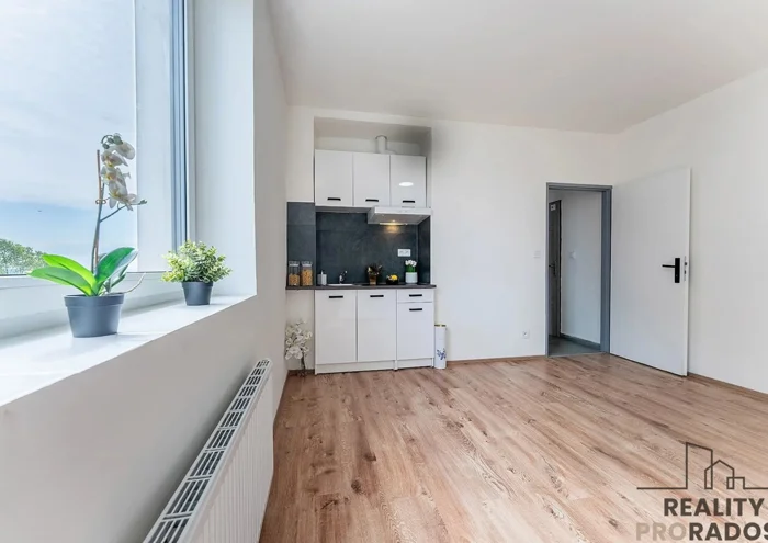 Apartment for rent · 1+kk · 22 m²