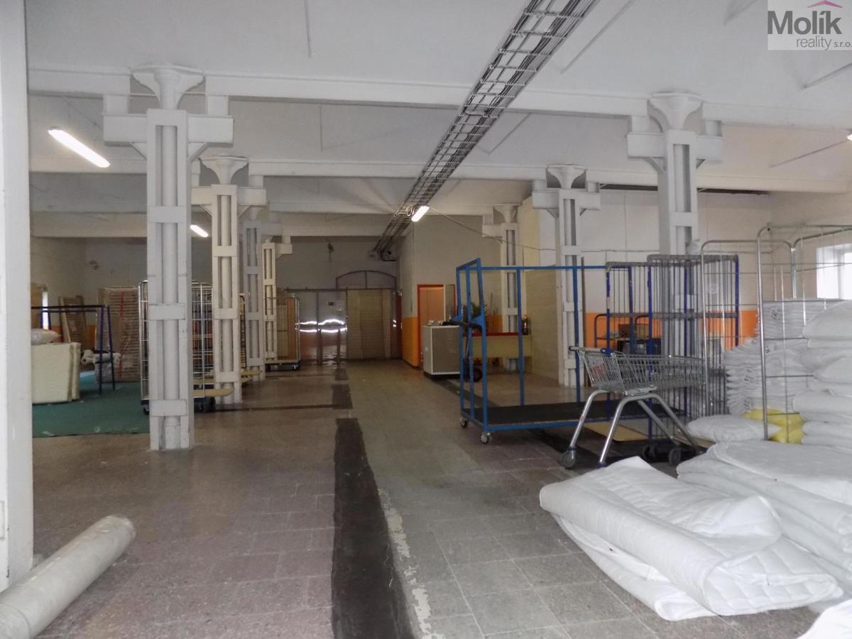 Fotografie 2 - Pronájem komerční nemovitosti · 600 m²