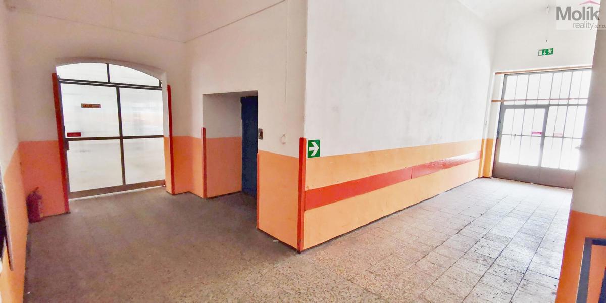 Оренда комерційної нерухомості · 150 m²