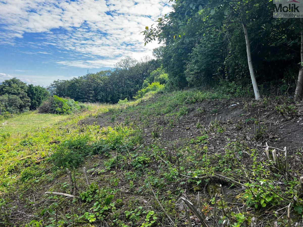 Fotografie 4 - Prodej pozemku · Bydlení · 1 463 m²