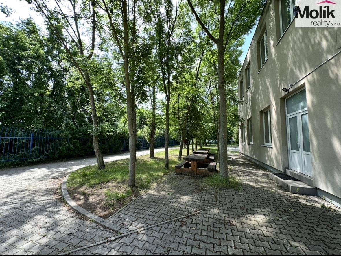 Fotografie 37/40