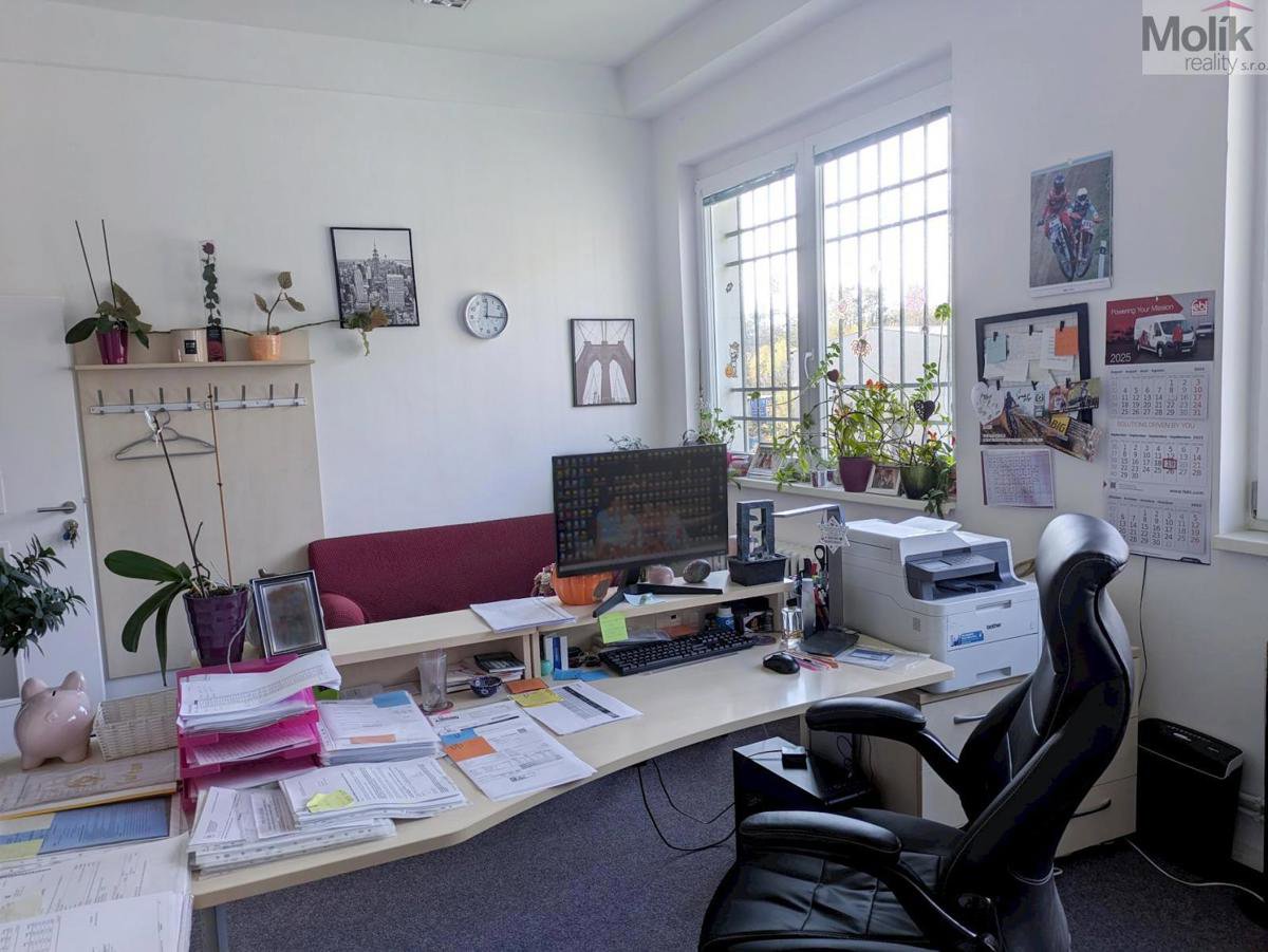 Fotografie 6/22