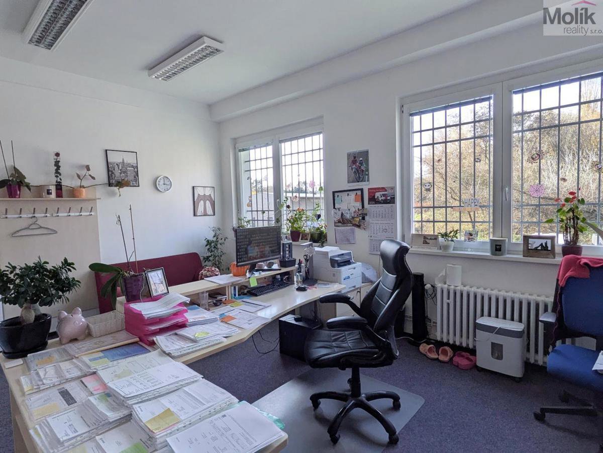 Fotografie 7/22