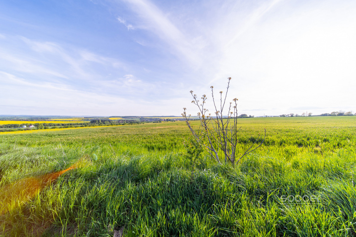 Fotografie 2 - Prodej pozemku · Bydlení · 2 813 m²